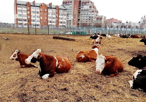 Віварій СНАУ