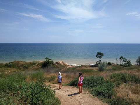 The house by the sea