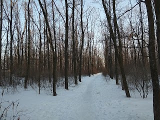 Рижовський парк