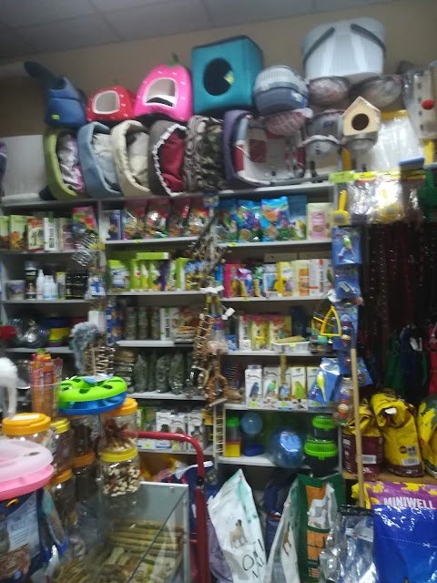 ZOO Shop