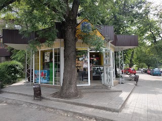 Кулиничі