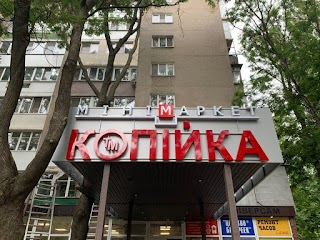 Копійка