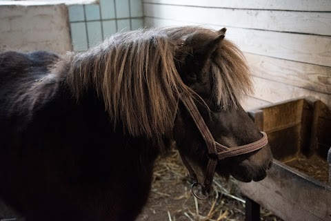 Контактний зоопарк при Поліському Національному Університеті