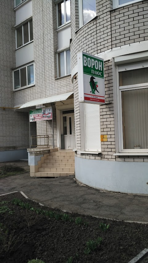 Ворон+