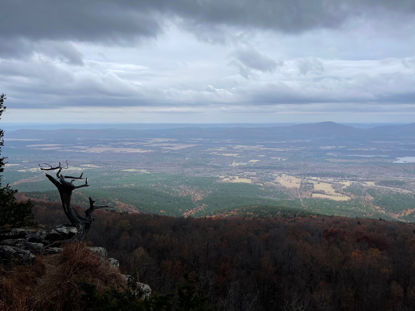 Mt Magazine/Cameron Bluff Campground