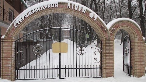 Заклад загальної середньої освіти Сторожинецький ліцей №1