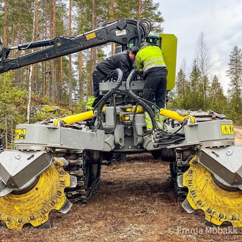 Work Service Ukraine