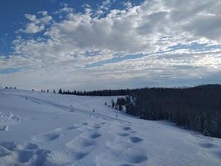 Подорожі горами на джипах. Організація відпочинку в Карпатах Трансфер по горах до колиб