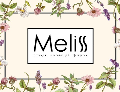 Студія корекціі фігури Meliss