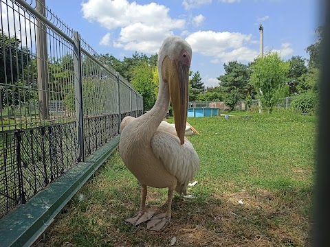 Подільський зоопарк