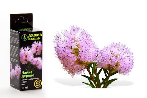 AROMA kraina