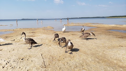 Центральний пляж