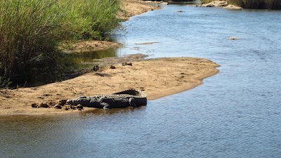 photo of Kruger National Park