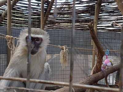 photo of Haven Zoological Park