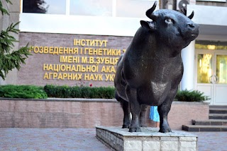 Інститут розведення і генетики тварин імені М.В.Зубця НААН