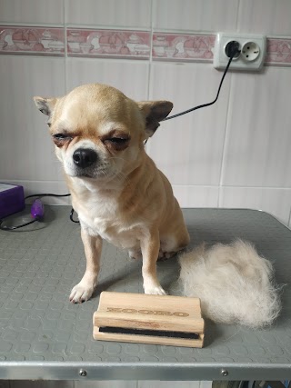 Sobaken grooming studio