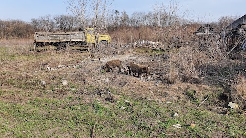 санаторій Гармонія