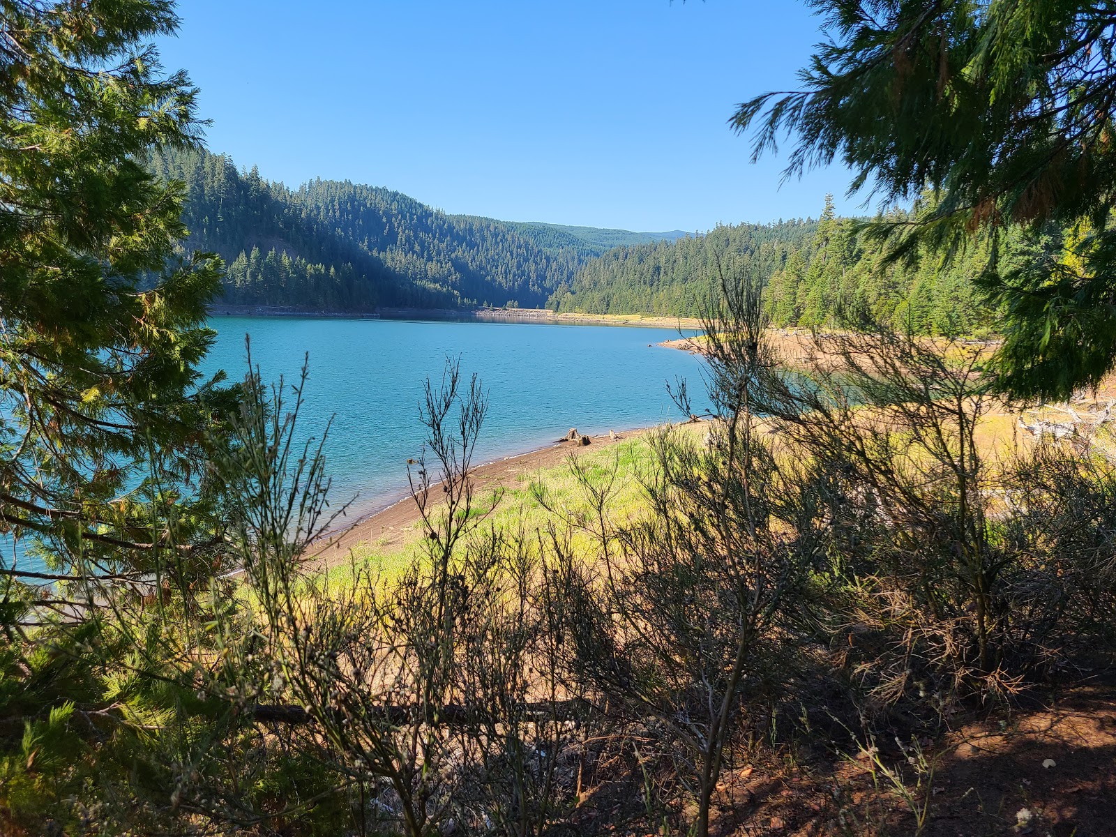 Willamette/Packard Creek Campground