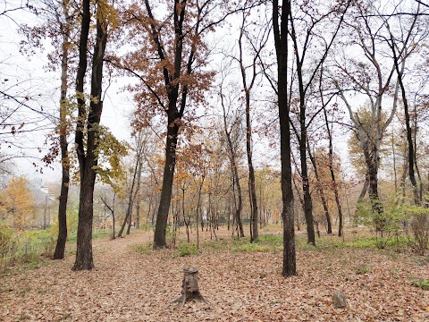 Лісове урочище Крістерів