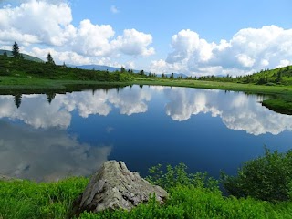 Трансфер Говерла Петрос Драгобрат