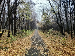 Колишній Зелений театр