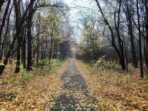 Колишній Зелений театр