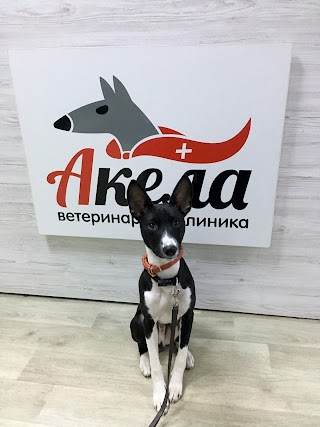 Ветеринарная клиника "Акела"