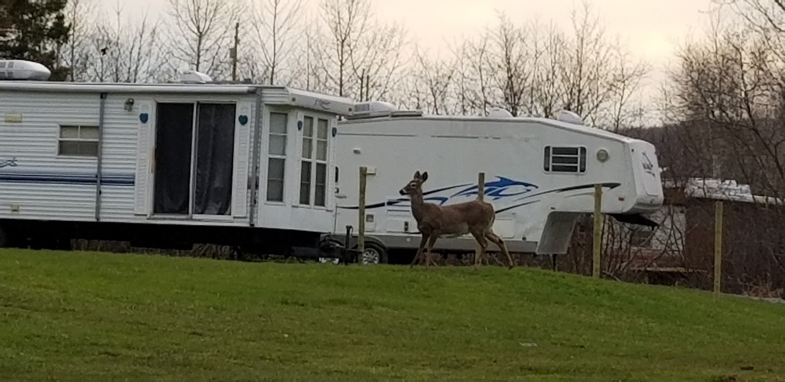 Whispering Winds Family Camping