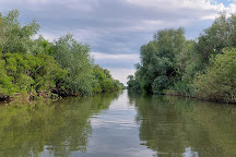 Danube Delta Biosphere Reserve, Tulcea, Romania