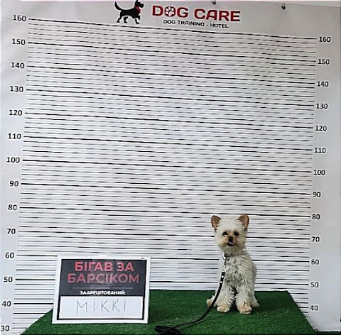 Dog care