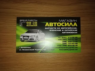 АВТОСИЛА, ЧП САЛТАН