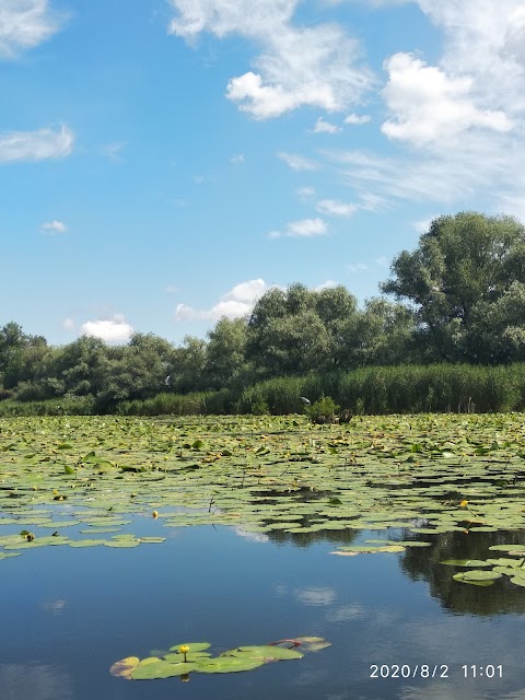 Наукове містечко, пляж.