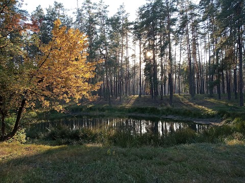 Національний природний парк "Залісся"