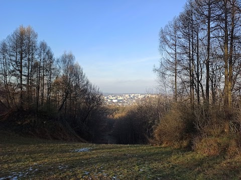 Регіональний ландшафтний парк "Знесіння"