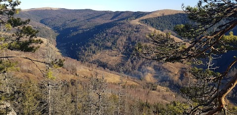 Гостинний двір "Za potokom" "За потоком"