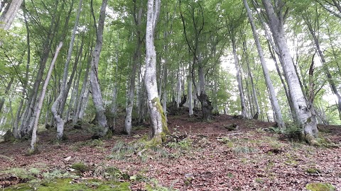 Табір Юних Альпіністів