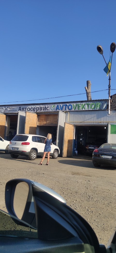 Автовектор