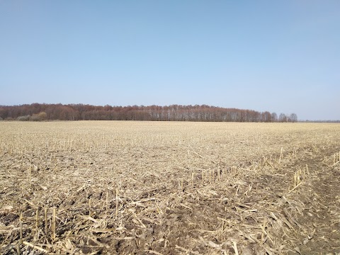 Національний природний парк "Залісся"