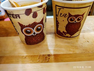 Кава з совою