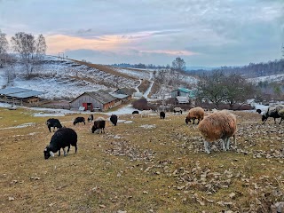 Sheepland эко-ферма