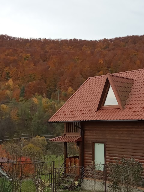 Chalet by the river