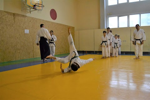 Combat Aikido