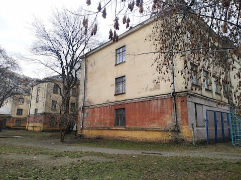 Спеціалізована школа І-ІІІ ступенів №110 імені К.Гапоненка з поглибленим вивченням французької мови