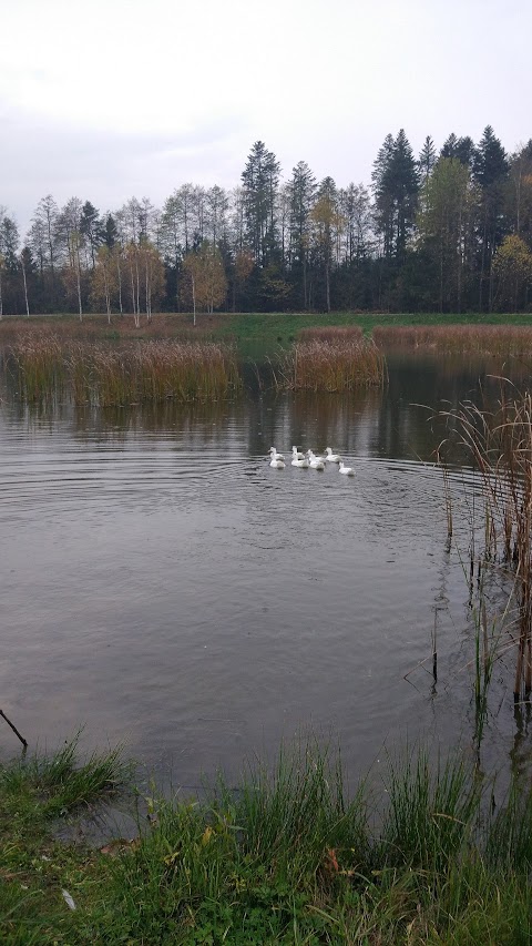 Лісовичок