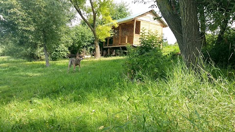 СОКІЛЬСЬКА ЗАГАЛЬНООСВІТНЯ ШКОЛА І-ІІІ СТУПЕНІВ