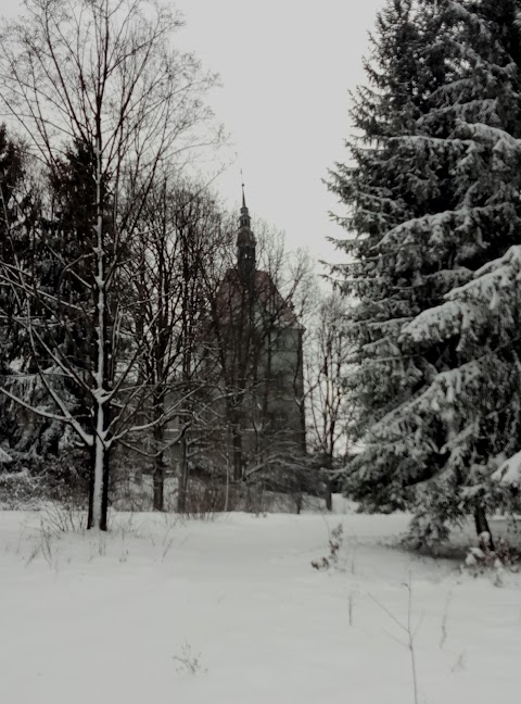 Карпатський спогад