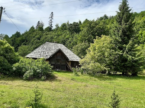 Національний природний парк "Вижницький"