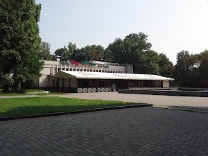 Кафе Villa Крокодила (Вилла Крокодила), фото