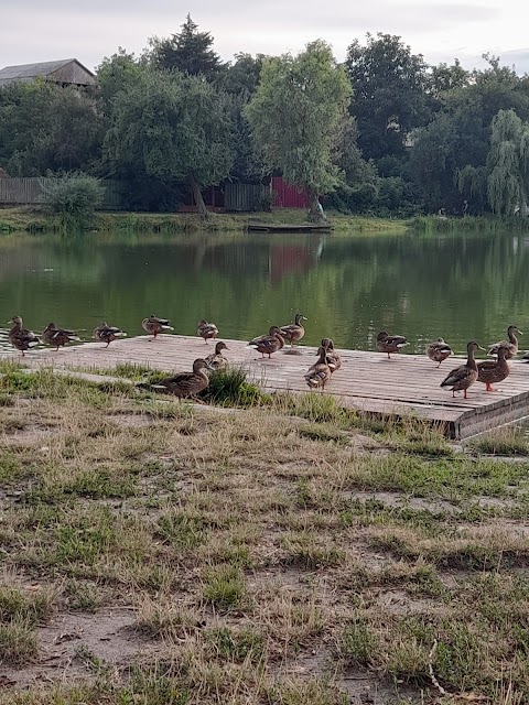 Муніципальна набережна