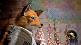 Foxes.com.ua